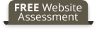 Free Website Assessment