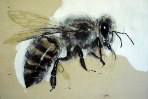 louisville-design-bee Web-Design-Art