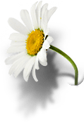 Contact Makespace! Web Design